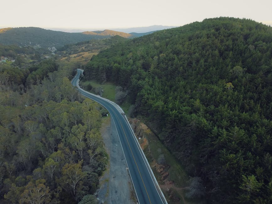 An aerial view of a winding two-lane road cutting through a densely forested landscape with lush green trees on both sides. The road appears to be newly paved with visible road markings and curves gently through hilly terrain. Natural daylight illuminates the scene, emphasizing the vibrant greenery and the undulating topography. The photograph captures the rural environment, which may be relevant to local moving routes between Forest Hill Rd and Sydenham Hill, as seen in the context of home relocation or furniture transport. Man with Van Sydenham, experienced in removals, may coordinate logistics along such routes, ensuring careful loading and transport of household goods in a home relocation setting.