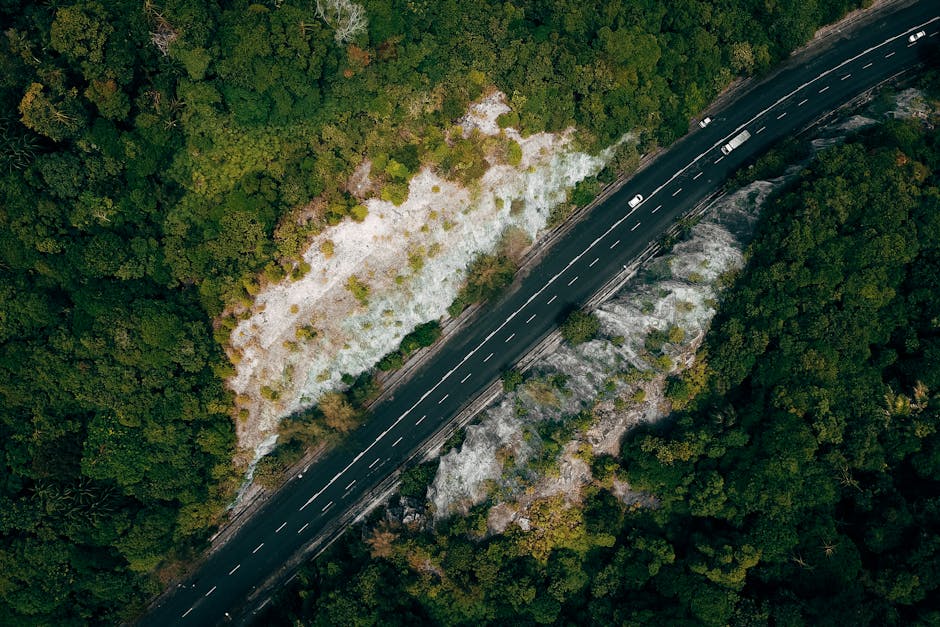An aerial view of a winding two-lane road cutting through a densely forested landscape with lush green trees on both sides. The road appears to be newly paved with visible road markings and curves gently through hilly terrain. Natural daylight illuminates the scene, emphasizing the vibrant greenery and the undulating topography. The photograph captures the rural environment, which may be relevant to local moving routes between Forest Hill Rd and Sydenham Hill, as seen in the context of home relocation or furniture transport. Man with Van Sydenham, experienced in removals, may coordinate logistics along such routes, ensuring careful loading and transport of household goods in a home relocation setting.
